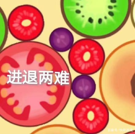 进退两难是指什么生肖，积极作答，落实解释