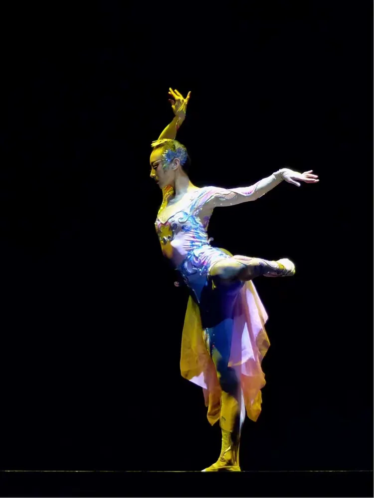 揭不开锅，生肖之舞的和谐共舞