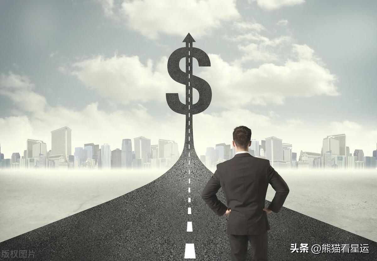 偷鸡摸狗，揭秘生肖背后的智慧与警示