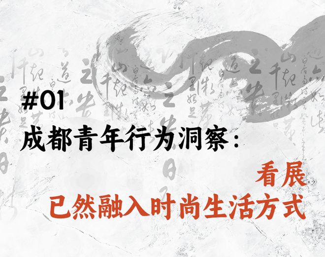 狂风暴雨与生肖之谜，一场文化与科学的深度探索