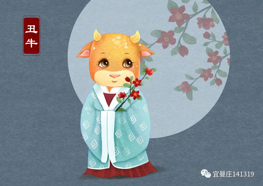 农历五月属什么生肖，真相解释落实