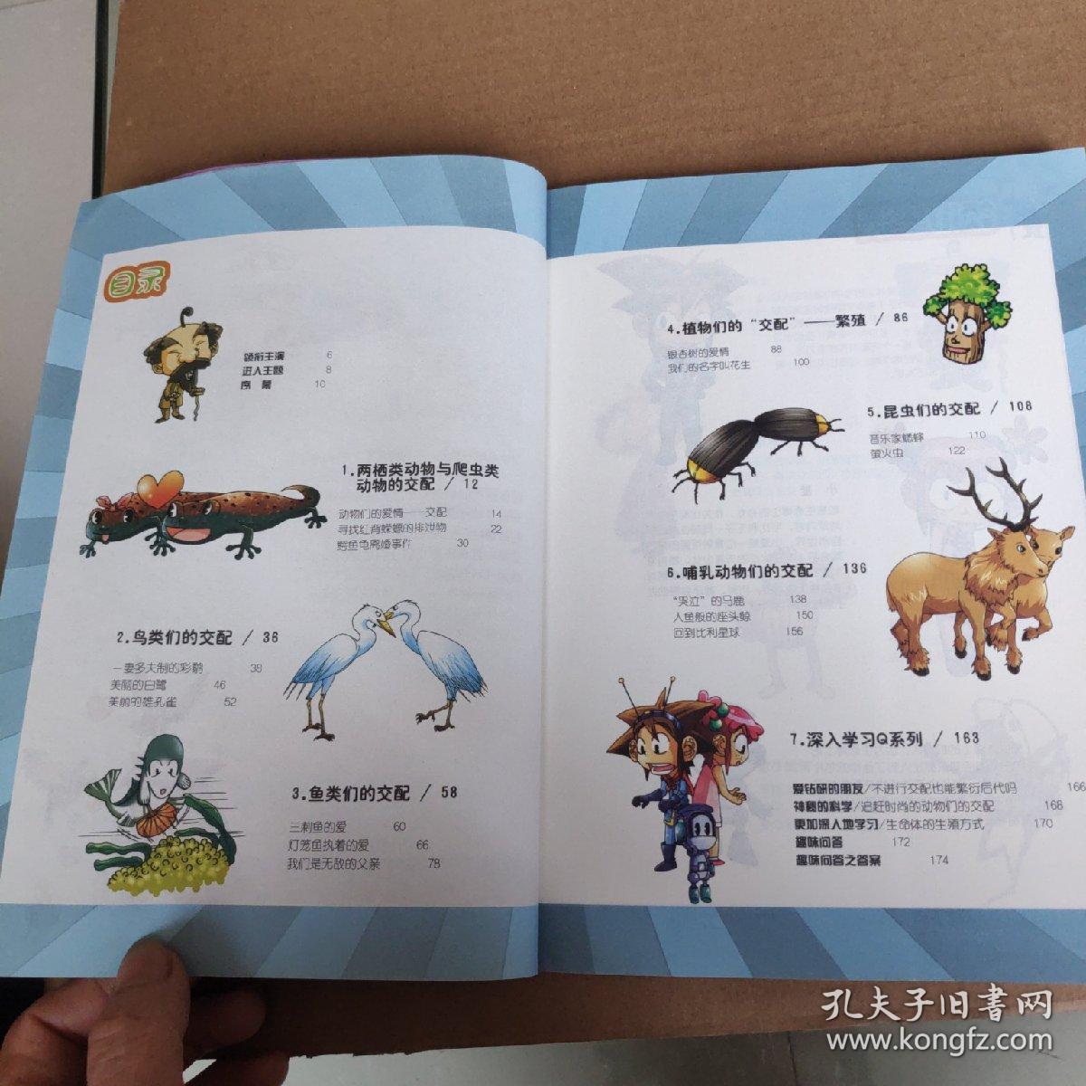 生肖狗与兔，配对奥秘与实际生活解析