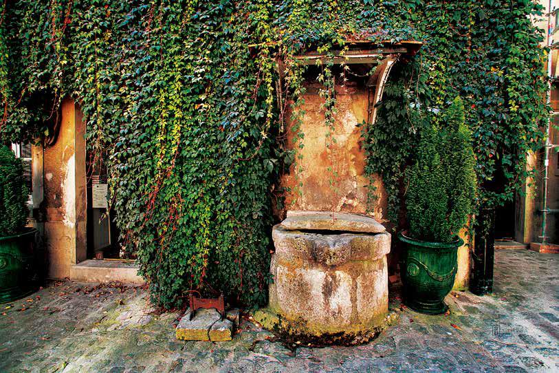 利欲熏心，寓言中的动物启示