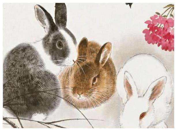 兔的贵人是什么生肖，实证分析与文化解读