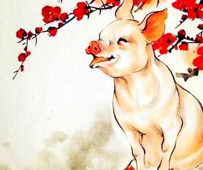 披星戴月打一正确生肖，背后的智慧与策略