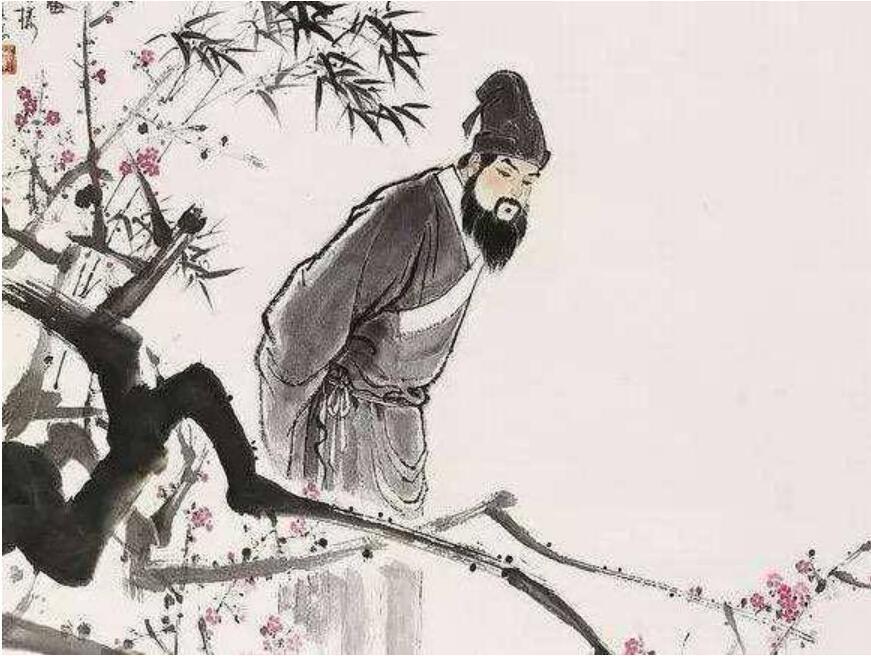 山光水色二二四是指什么生肖，背后的智慧与哲理