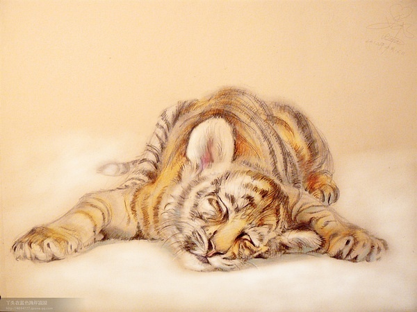 虎头虎脑，生肖文化中的温馨解析与文化解答