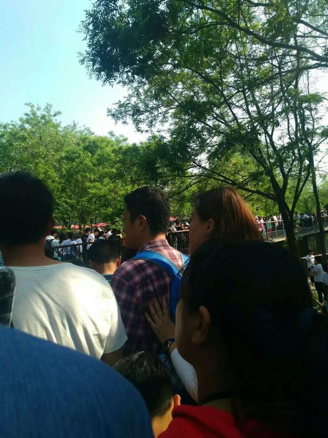 揭秘道道地地背后的神秘动物—探秘中国传统文化中的生肖谜语