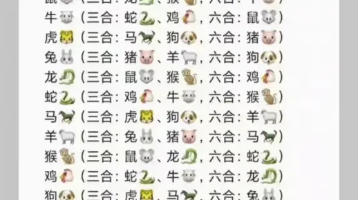 今期生肖出六合，绝佳解释落实