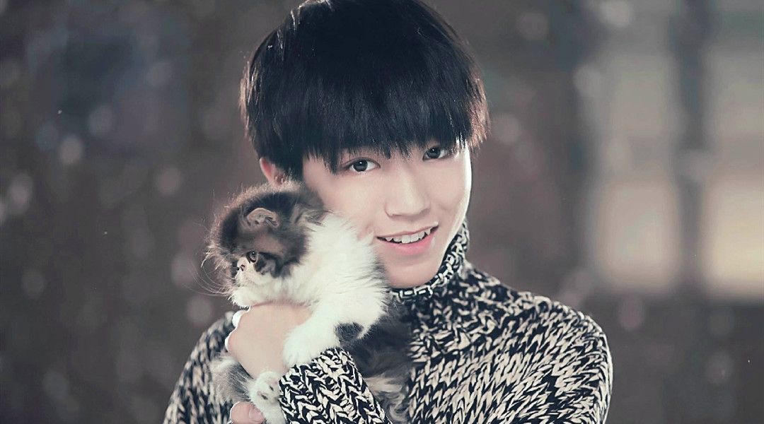 探秘王俊凯的生肖之谜，谁在揭晓这位偶像的神秘符号？