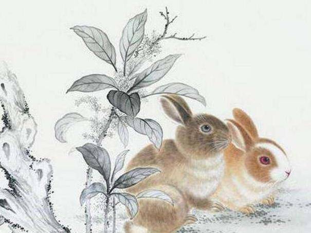 揭秘嫉恶好善的生肖，属兔人的独特性格与行为解析