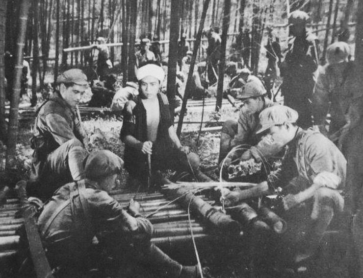 开路先锋与生肖之谜，热议、解释与落实的深度剖析