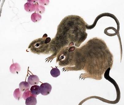 忙忙碌碌是指什么生肖，揭秘如何选择并落实正确的