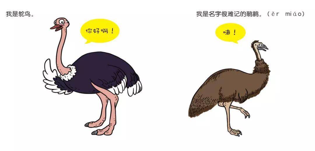 左右开弓猜一动物，的最快解答落实