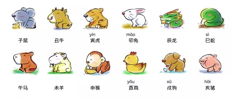 大小生肖的奥秘，解析与选择落实