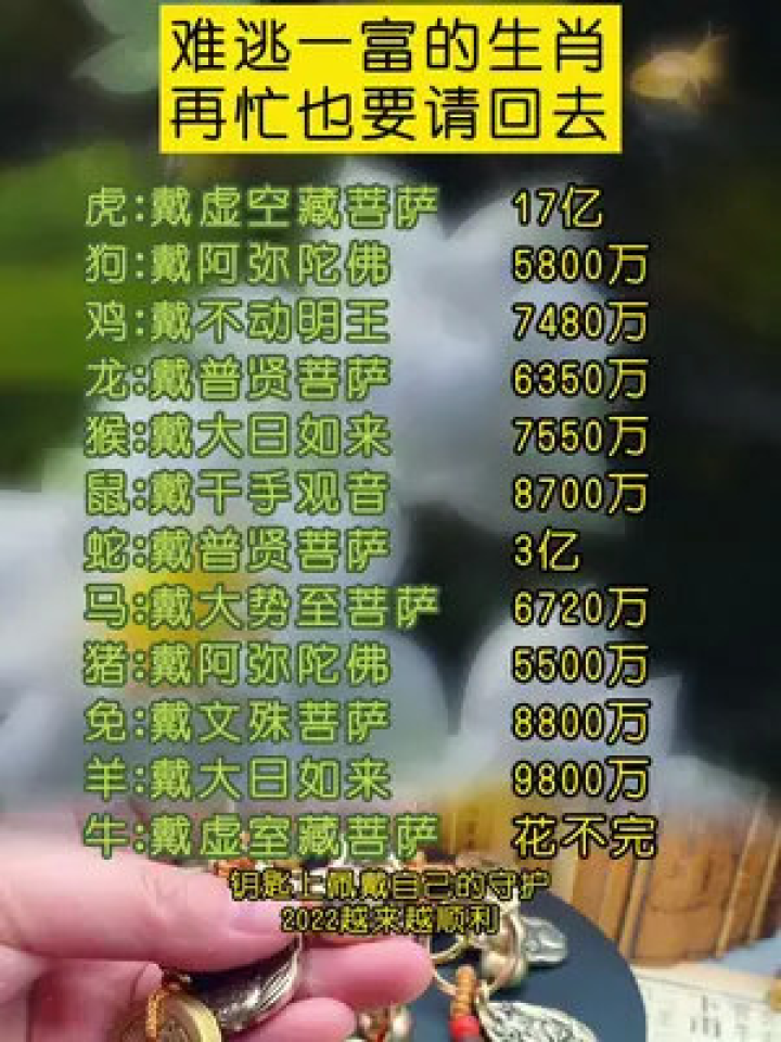 秋菊绽放，解谜三二开打中的生肖智慧—落实与自然和谐共生的哲学