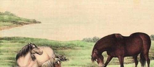 坎坷之路，共绘友爱—探寻坎坷不平中最佳生肖的奥秘