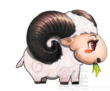 十二生肖的守护神兽，精选解析与落实的详细结果