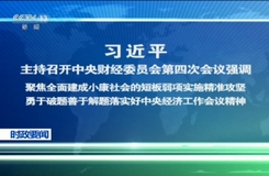 亥时属什么生肖，的精准解答与落实精神