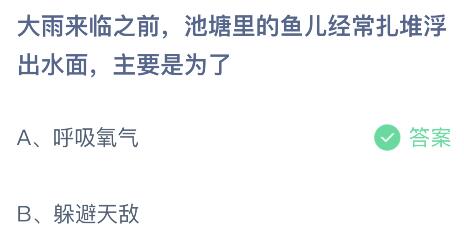 揭秘声色犬马中的生肖谜题,最佳答案即将浮出水面 揭秘声色犬马中的生肖谜题,最佳答案即将浮出水面