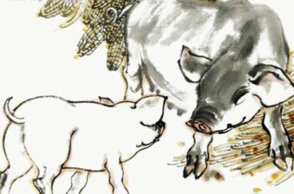 深度解析与智慧思考，十全十美有几人猜一生肖