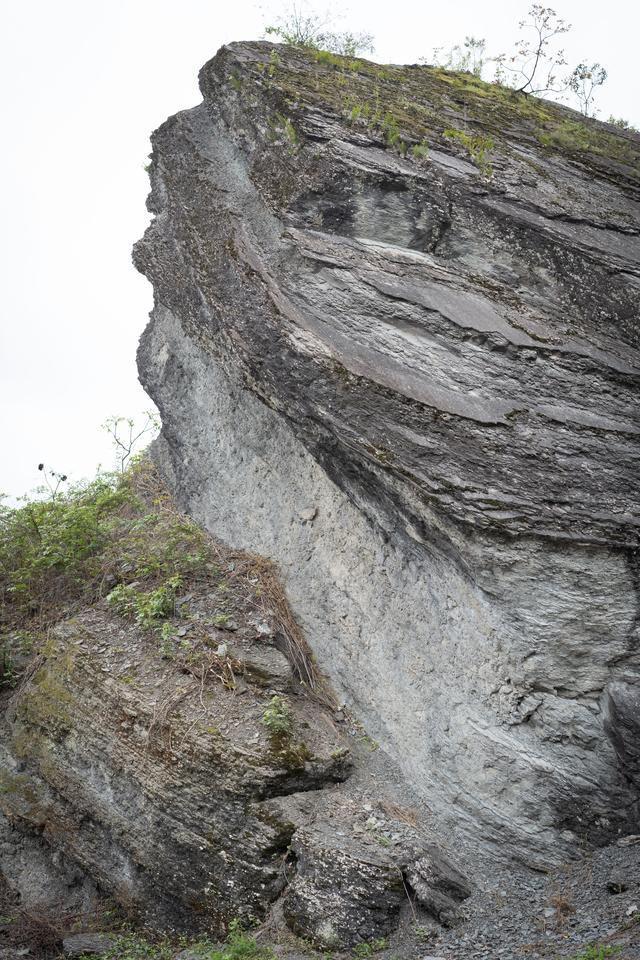 山崩地裂的生肖，属兔人的坚韧与无限解释落实