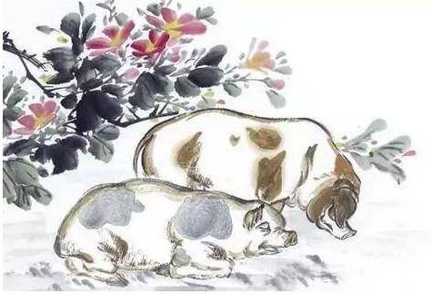 花言巧语是什么生肖，深度解析与文化寓意