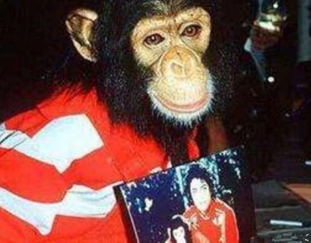 万贯家财猜一动物，与积极行动的完美结合