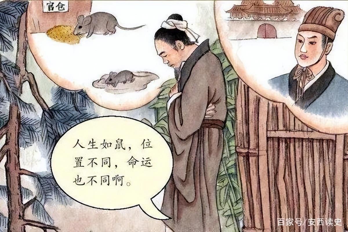 揭不开锅的谜团，一只老鼠的启示与人生哲理深度解析