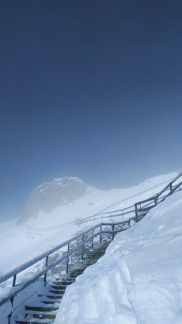 摸不着边猜一动物，新型作答落实解释