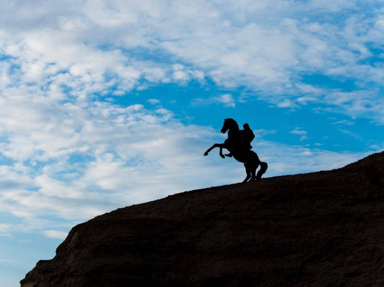 悬崖勒马猜一动物，全面揭晓解释落实