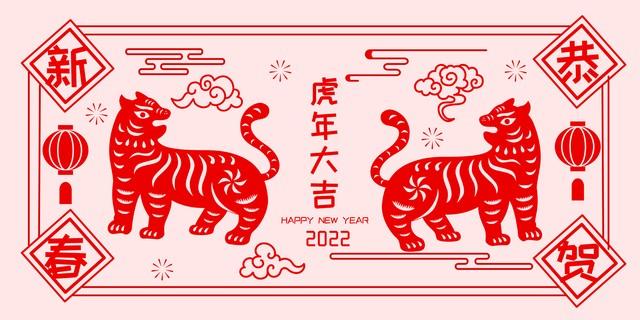 班师振旅，揭秘如何选择并落实正确的生肖策略