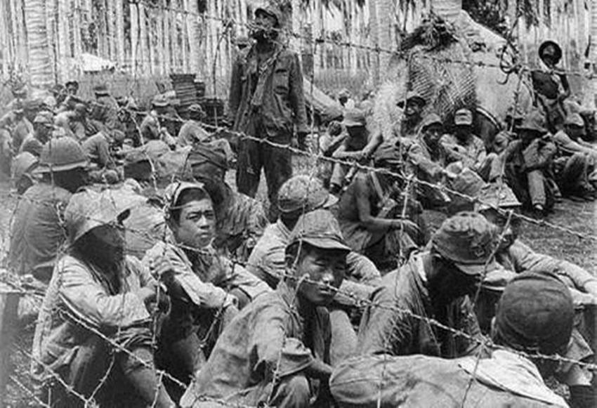 探寻一尘不染背后的生肖奥秘，真相揭秘与文化解析