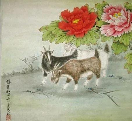 七手八脚的动物，生肖文化中的独特寓意与解析