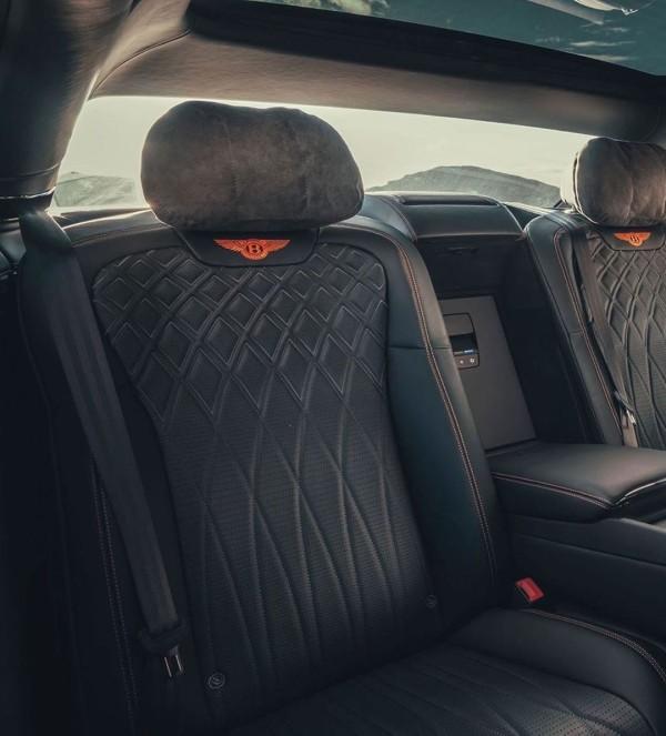 豺狼当道指的是什么生肖，的温馨解析与文化解答