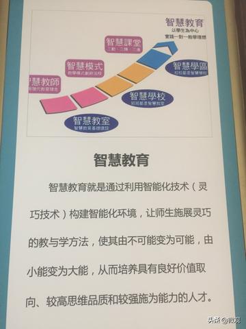 龟鹤之年的生肖谜题，揭秘新型作答的智慧