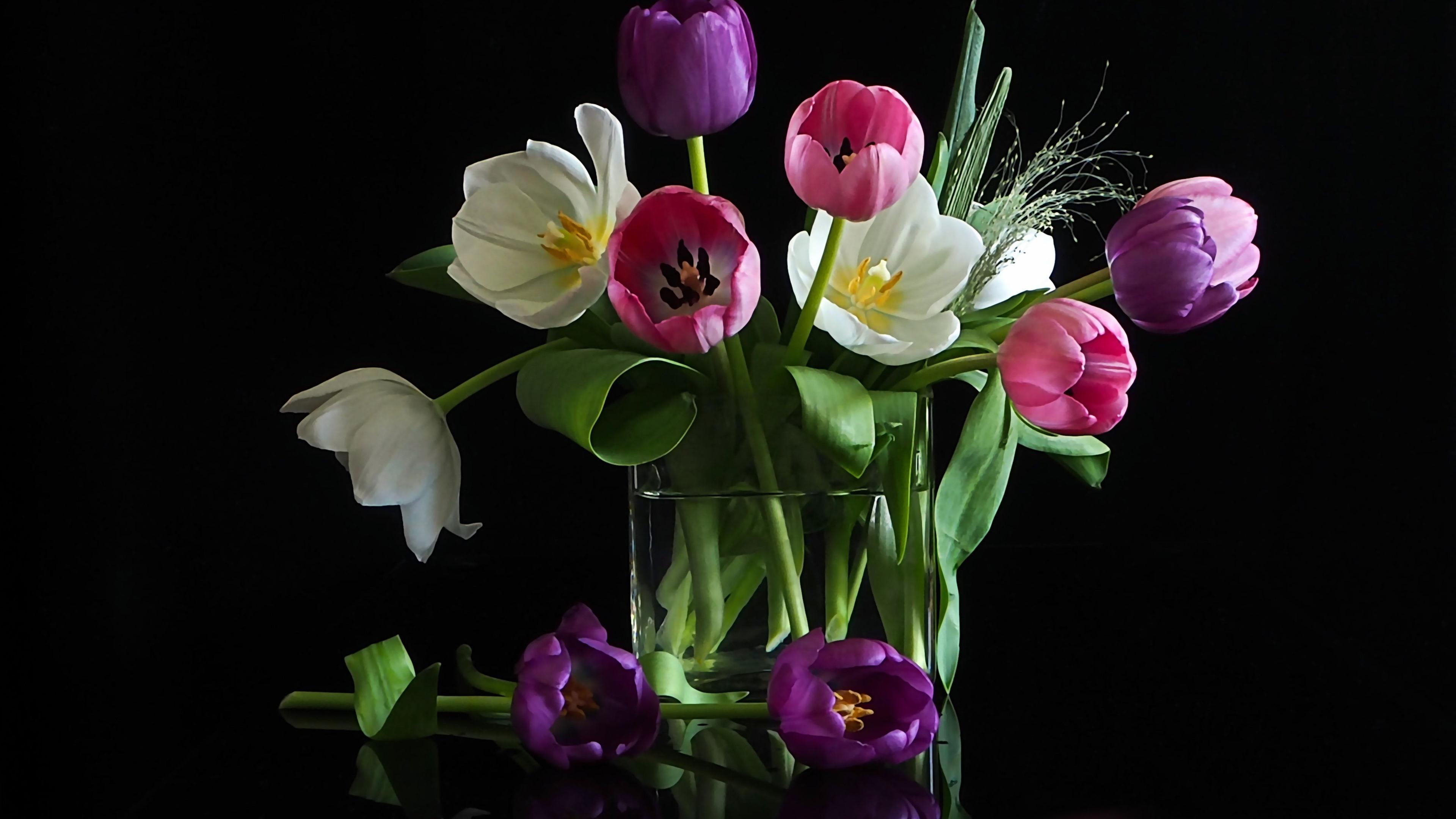 没礼貌不懂大小的生肖与非凡解释的落实