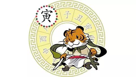 功字是什么生肖，专业解析与文化解读