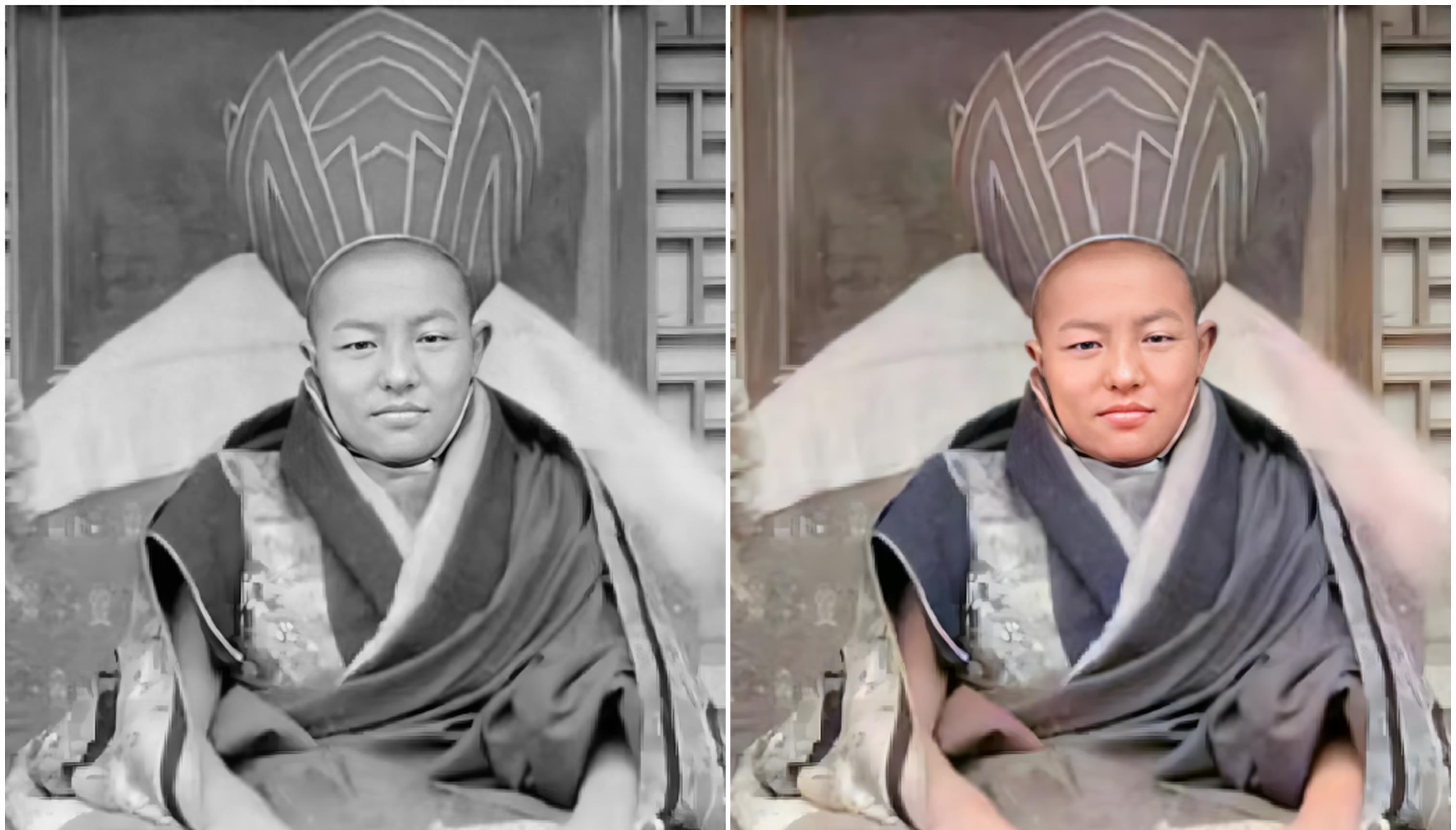 蠢蠢欲动的生肖，背后的坚韧与不屈