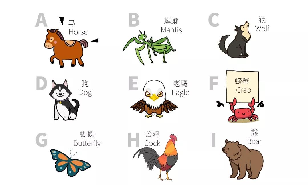 明打明敲猜一动物，奥秘解释落实