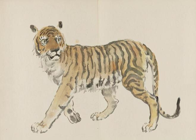 星空璀璨，生肖之谜—探寻数不尽的星空背后的生肖寓意