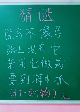 明打明敲猜一动物，奥秘解释落实
