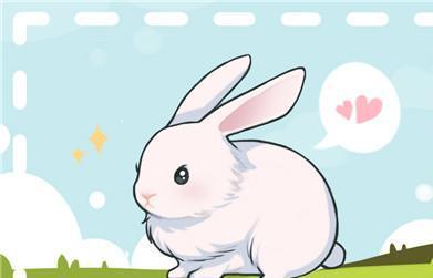 揭秘嫉恶好善的生肖，属兔人的独特性格与行为解析