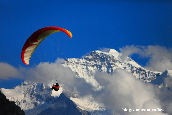 筋疲力尽猜生肖，以勤奋为翼，翱翔于成功之巅