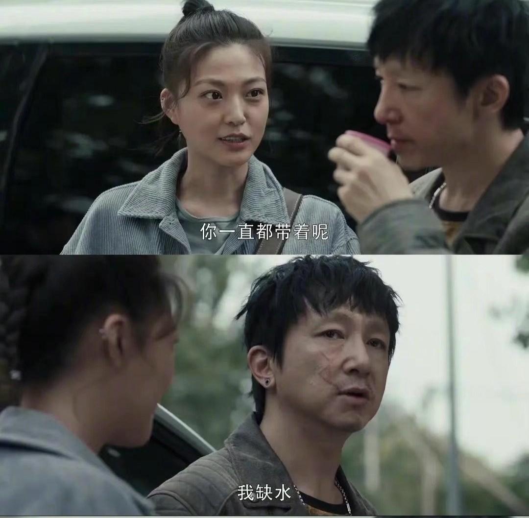 狗打老鼠无功劳是指什么生肖，激励作答落实解释