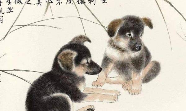 帮狗吃食打一正确生肖，激励作答落实解释