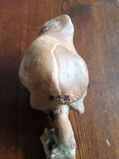 月圆之夜，半夜三更的生肖之舞—和谐共舞的奥秘