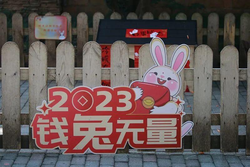 灰飞烟灭，生肖背后的文化与热议解读