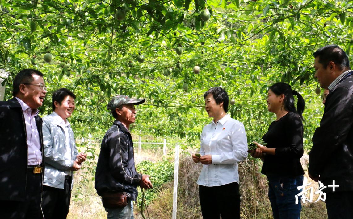未时属什么生肖，奥秘解释落实