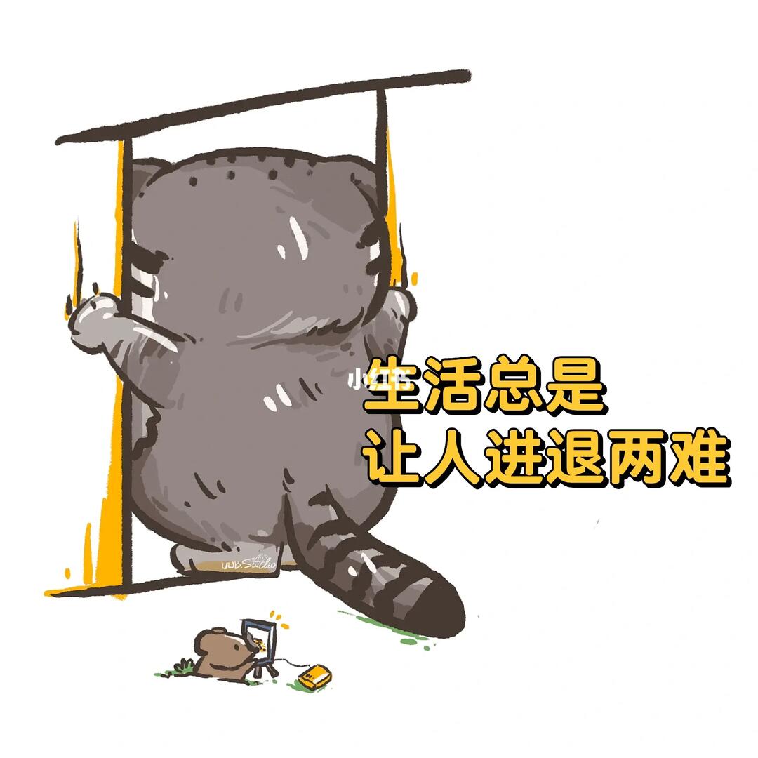 进退两难是指什么生肖，积极作答，落实解释